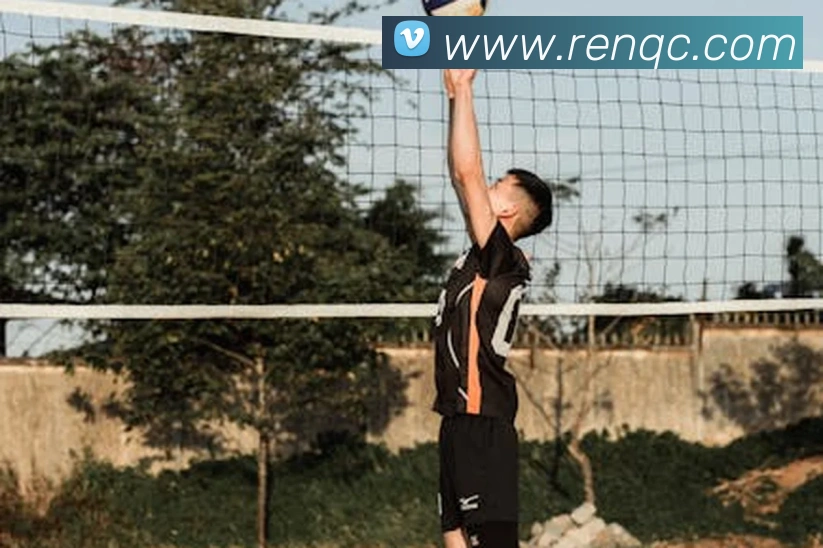 米兰体育在线登录入口服务体系